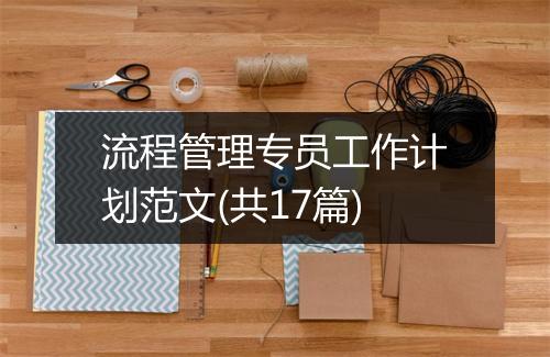 流程管理专员工作计划范文(共17篇)