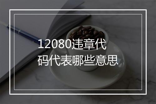 12080违章代码代表哪些意思