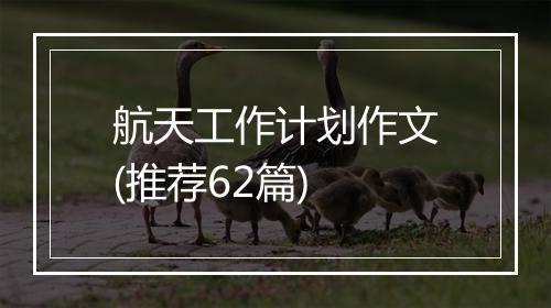 航天工作计划作文(推荐62篇)