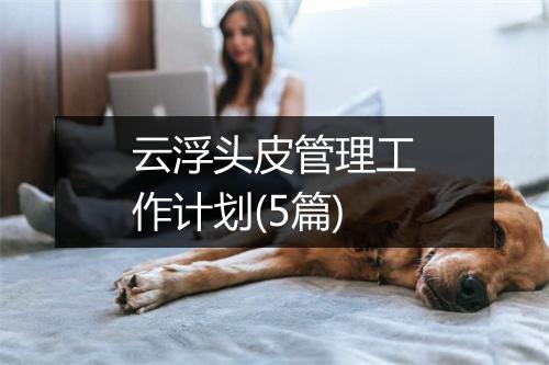 云浮头皮管理工作计划(5篇)