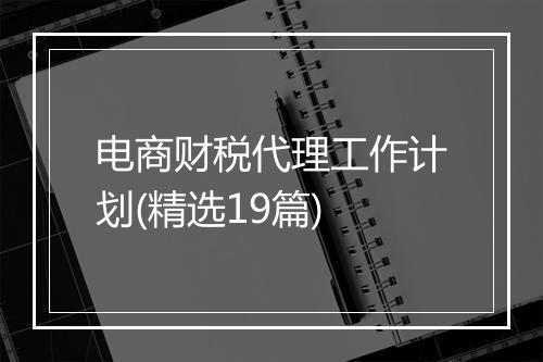 电商财税代理工作计划(精选19篇)