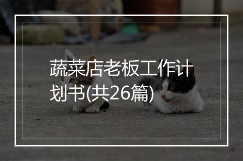 蔬菜店老板工作计划书(共26篇)