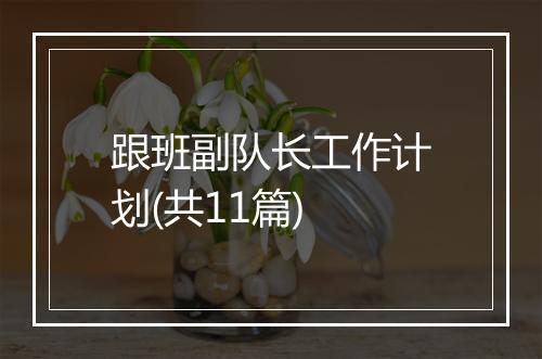跟班副队长工作计划(共11篇)