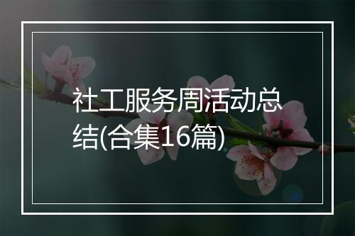 社工服务周活动总结(合集16篇)