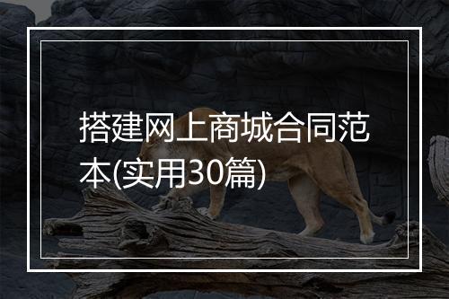 搭建网上商城合同范本(实用30篇)