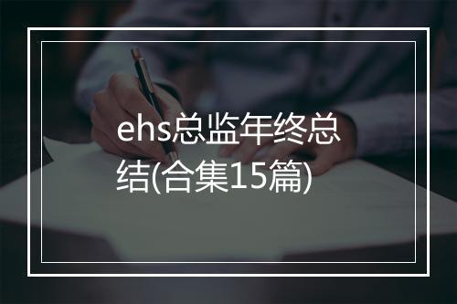 ehs总监年终总结(合集15篇)