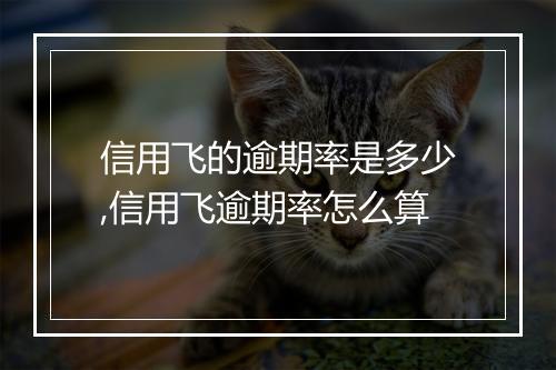 信用飞的逾期率是多少,信用飞逾期率怎么算