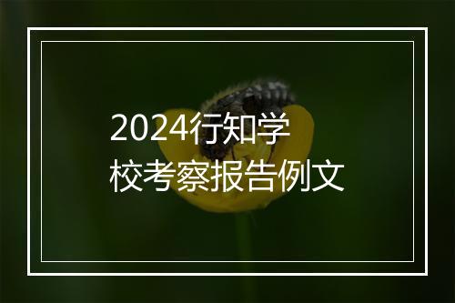 2024行知学校考察报告例文