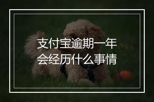 支付宝逾期一年会经历什么事情