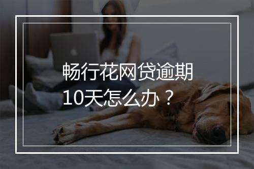 畅行花网贷逾期10天怎么办？
