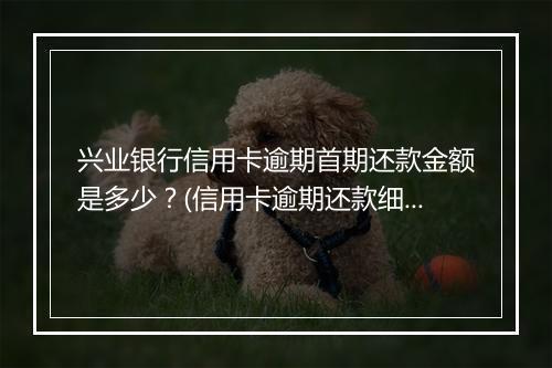 兴业银行信用卡逾期首期还款金额是多少？(信用卡逾期还款细则解读)
