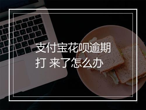 支付宝花呗逾期打 来了怎么办