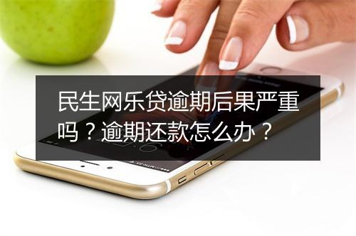 民生网乐贷逾期后果严重吗？逾期还款怎么办？