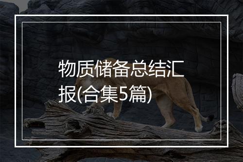 物质储备总结汇报(合集5篇)
