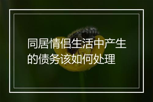 同居情侣生活中产生的债务该如何处理