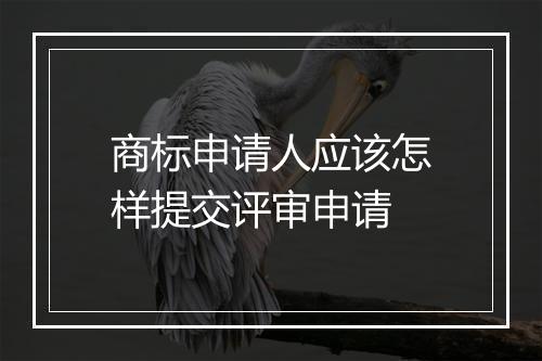 商标申请人应该怎样提交评审申请