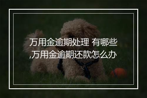 万用金逾期处理 有哪些,万用金逾期还款怎么办
