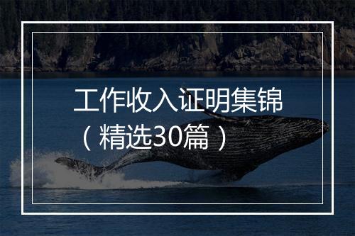 工作收入证明集锦（精选30篇）