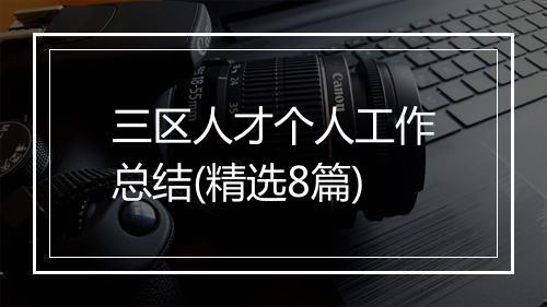 三区人才个人工作总结(精选8篇)