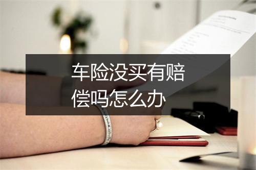 车险没买有赔偿吗怎么办