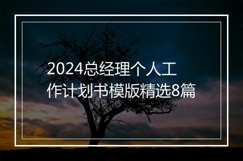 2024总经理个人工作计划书模版精选8篇