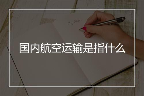 国内航空运输是指什么