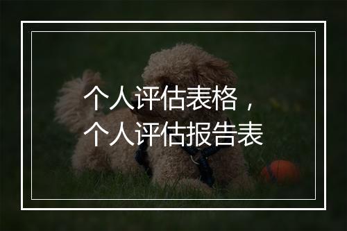 个人评估表格，个人评估报告表