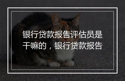 银行贷款报告评估员是干嘛的，银行贷款报告