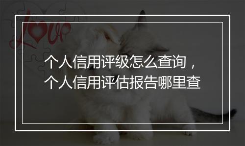 个人信用评级怎么查询，个人信用评估报告哪里查