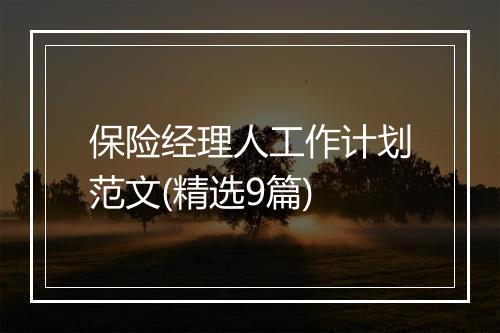 保险经理人工作计划范文(精选9篇)