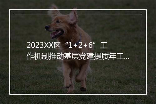 2023XX区“1+2+6”工作机制推动基层党建提质年工作报告