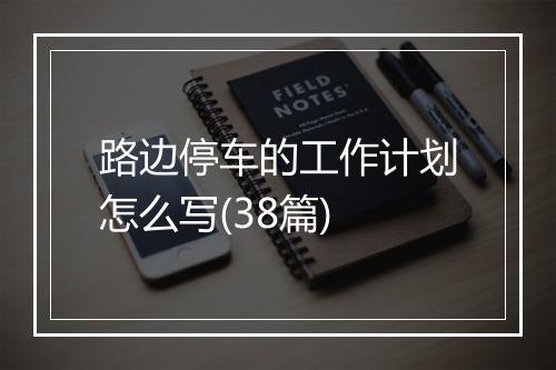 路边停车的工作计划怎么写(38篇)