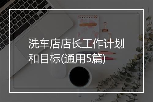 洗车店店长工作计划和目标(通用5篇)