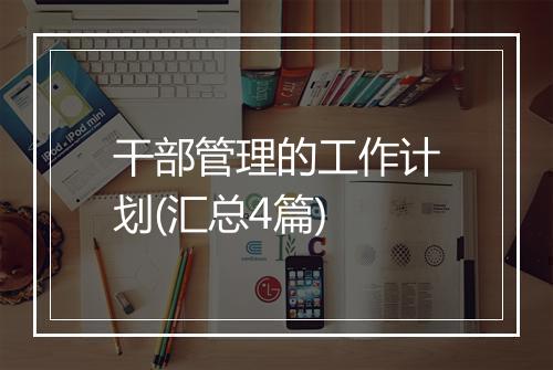 干部管理的工作计划(汇总4篇)