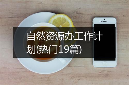 自然资源办工作计划(热门19篇)