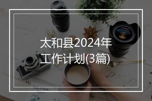 太和县2024年工作计划(3篇)
