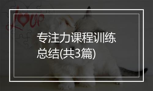 专注力课程训练总结(共3篇)