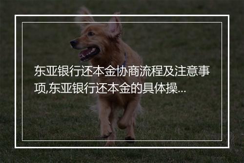 东亚银行还本金协商流程及注意事项,东亚银行还本金的具体操作步骤