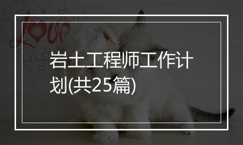 岩土工程师工作计划(共25篇)