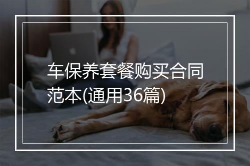 车保养套餐购买合同范本(通用36篇)