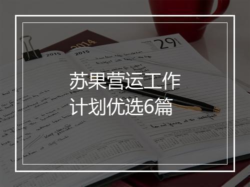 苏果营运工作计划优选6篇