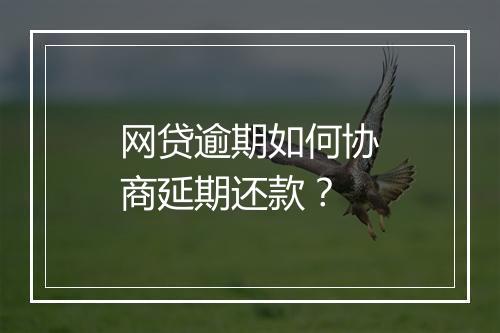 网贷逾期如何协商延期还款？