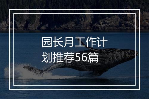 园长月工作计划推荐56篇