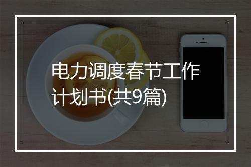 电力调度春节工作计划书(共9篇)