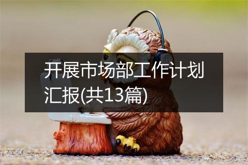 开展市场部工作计划汇报(共13篇)