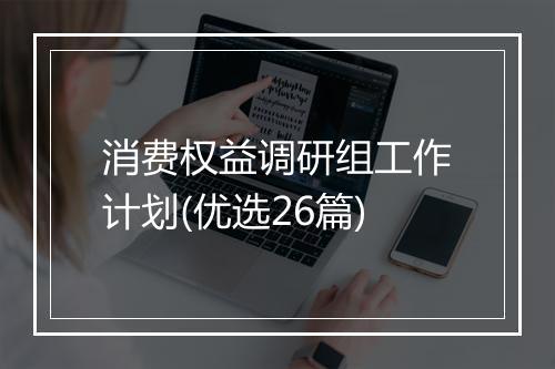 消费权益调研组工作计划(优选26篇)