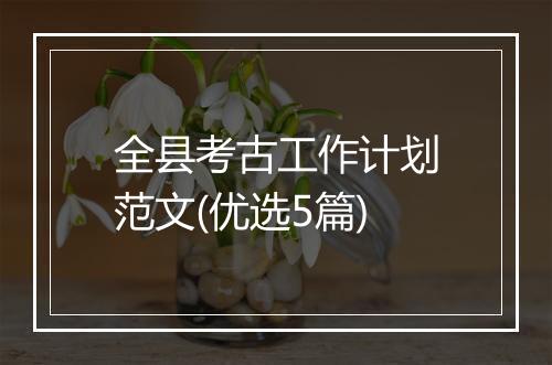 全县考古工作计划范文(优选5篇)