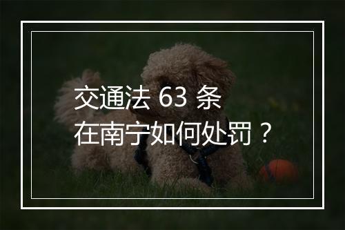 交通法 63 条在南宁如何处罚？