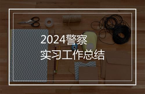 2024警察实习工作总结