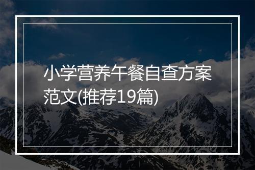 小学营养午餐自查方案范文(推荐19篇)